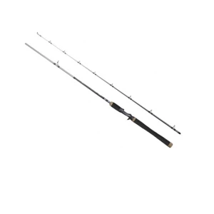 Lanseta Dragon Millenium Cj Big Bait 1.98m 60-100g