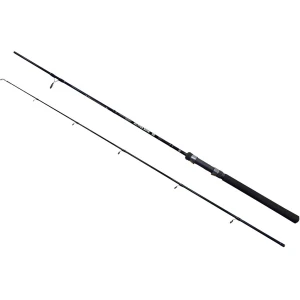 Lanseta Energofish Wizard Active Spin, 2.10m, 10-30g, 2seg