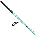 Lanseta Herakles Enigma 800H, 2.40m, 20-50g, 2seg Lanseta Herakles Enigma 800H, 2.40m, 20-50g, 2seg