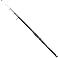 Lanseta Telescopica Carp Expert Advancer Tele 3.00m, 40-80g, 5seg Lanseta Telescopica Carp Expert Advancer Tele 3.00m, 40-80g, 5seg
