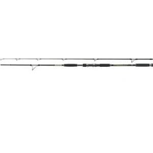 Lanseta Jaxon Antris Hti Catfish Spin 2.70m 50-120gr