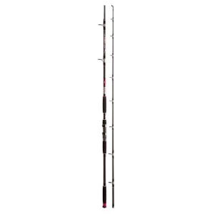Lanseta Jaxon Extera Cat Fish 3.15m 2seg 500gr