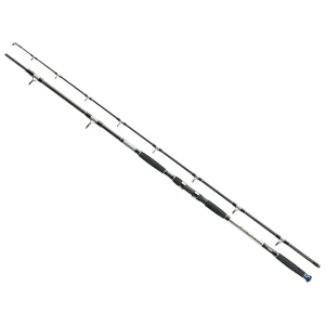 Lanseta Jaxon Silver Shadow Catfish 2.55m 500gr