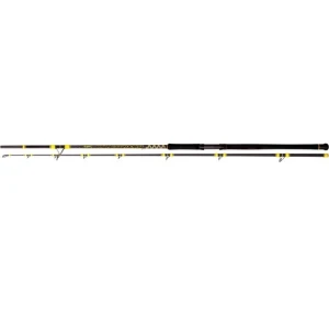 Lanseta Black Cat Passion Pro Dx 2.40m 600g