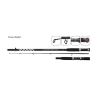 Lanseta Carp Zoom Entrant Bigfish EBF 3.00m, 200-500g Lanseta Carp Zoom Entrant Bigfish EBF 3.00m, 200-500g