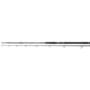 Lanseta Daiwa Exceler Catfish Boje 3.00m 200-600g  2seg