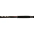 Lanseta DAIWA EXCELER CATFISH BOJE 3.00M 200-600G  2seg