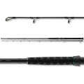 Lanseta DAIWA Powermesh Catfish, 3.00m, 500g, 2seg