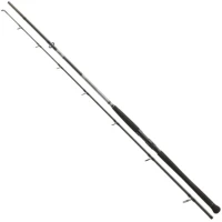 Lanseta DAIWA Powermesh Catfish Boje, 150-400g, 2.70m, 2seg