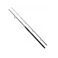 Lanseta FL Catfish Passion 2.70M Lanseta FL Catfish Passion 2.70M