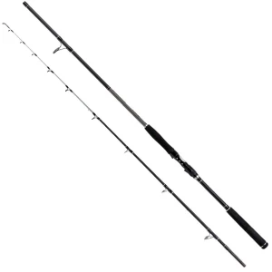 Lanseta FORMAX Black River, 2.70m, 80-240g, 2seg