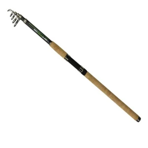 Lanseta Carp Zoom Action Telecarp 2.70m 50-100g Lanseta Carp Zoom Action Telecarp 2.70m 50-100g