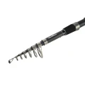 Lanseta FORMAX Aesthenic NG Telecarp 2.40m, 3lbs