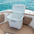 Lada Frigorifica Pasiva Coleman Marine Xtreme 2023 26l