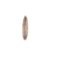 Lingura Jaxon Ukla F 1c 14gr