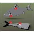 Kit Fox Rage Predator Twin Treble Trace, 30cm, 40lb, Size 8 Barbed, 1buc/pac Kit Fox Rage Predator Twin Treble Trace, 30cm, 40lb, Size 8 Barbed, 1buc/pac