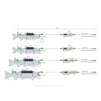 Rig Somn Madcat 10/0 Screaming Basic River Rigs Worm Squid L Rig Somn Madcat 10/0 Screaming Basic River Rigs Worm Squid L