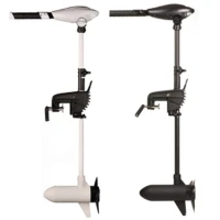 Motor Electric Haswing Osapian, 40lbs, 12v