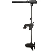 Motor Electric HASWING Protruar V2 1 HP 65lb, Brushless