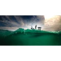 Motor Electric de Prova MINN KOTA Riptide Instinct QUEST 90/115lbs 24/36V 220cm Negru