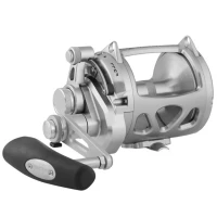 Mulineta Penn International Visw 30 Silver