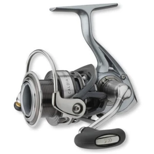 Mulineta Daiwa Caldia 2500a