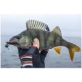 Naluca FISHUP Tanta, 055 Chartreuse Black, 4.2cm, 10buc/pac Naluca FISHUP Tanta, 055 Chartreuse Black, 4.2cm, 10buc/pac