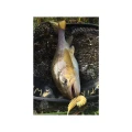 Naluca FISHUP Tanta, 055 Chartreuse Black, 4.2cm, 10buc/pac Naluca FISHUP Tanta, 055 Chartreuse Black, 4.2cm, 10buc/pac