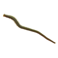 MOMEALA ARTIFICIALA BERKLEY GULP ALIVE HLFP NEREIS 6 CAMO MOMEALA ARTIFICIALA BERKLEY GULP ALIVE HLFP NEREIS 6 CAMO