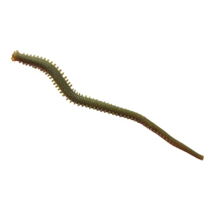 Momeala Artificiala Berkley Gulp Alive Hlfp Nereis 6 Camo
