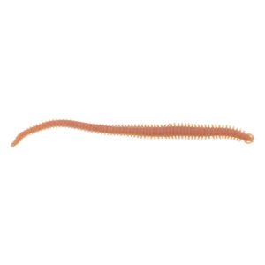 Momeala Artificiala Berkley Gulp Alive Hlfp Nereis 6 Natural