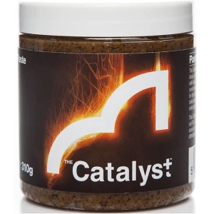 Pasta Boilies Spotted Fin Catalyst Paste 300g