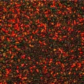 Amestec Saculet SENZOR PVA Bag Mix Fishmeal, 800g