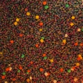 Mix Pelete SENZOR, Faina Peste Fructe Dulci, 2-3mm, 3kg