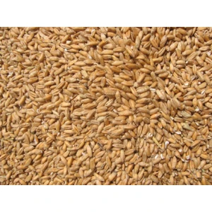 Ieftin Claumar Grau 1kg