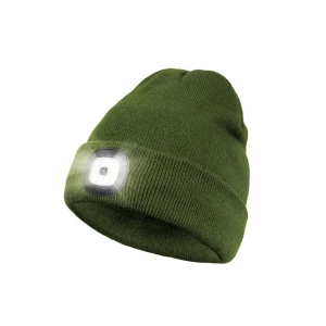 Caciula De Iarna Delphin Rwr Cu Led