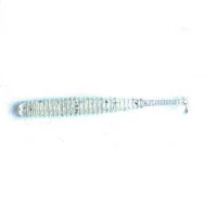  Shad Reins Aji Adder 5cm, culoare Clear Pearl Silver   15buc/plic
