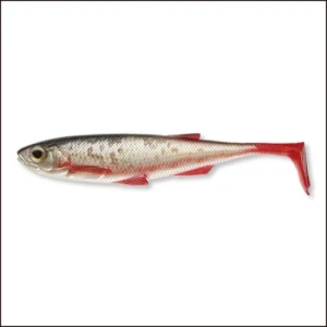 Shad Daiwa D.fin Live 15cm Live Roach 2buc