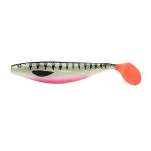 Shad Jaxon Intensa Inx 17cm C
