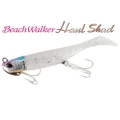 Set Shad DUO Beach Walker Haul AJA0199, 10cm, 14g