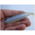 Shad Delalande DJ Line 12cm Galactic Blue 153