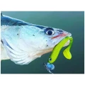 Shad Delalande Zand Shad 11cm Sky Stella 116