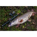 Shad FISHUP U-Shad, 6.3cm, Violet Blue, 9buc/pac Shad FISHUP U-Shad, 6.3cm, Violet Blue, 9buc/pac