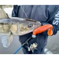 Shad FISHUP Wizzle Shad, 12.5cm, Chartreuse Black, 4buc/pac Shad FISHUP Wizzle Shad, 12.5cm, Chartreuse Black, 4buc/pac