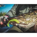 Shad FISHUP Wizzle Shad, 3.5cm, Pearl, 10buc/pac Shad FISHUP Wizzle Shad, 3.5cm, Pearl, 10buc/pac