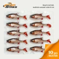 Shad Fast Strike Roach, RRT Roach Red Tail, 8cm, 5g