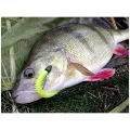 Shad Keitech Swing Impact, Sunshine Lemon PAL04, 10cm, 8buc/pac