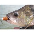 Shad Pontoon21 GAD Footsie 9cm 2217 Shad Pontoon21 GAD Footsie 9cm 2217