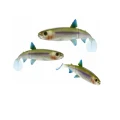 Shad Westin HypoTeez ST 15cm Salted Herring