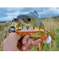 Shad Westin ShadTeez 7.5cm/ 3Gr Headlight